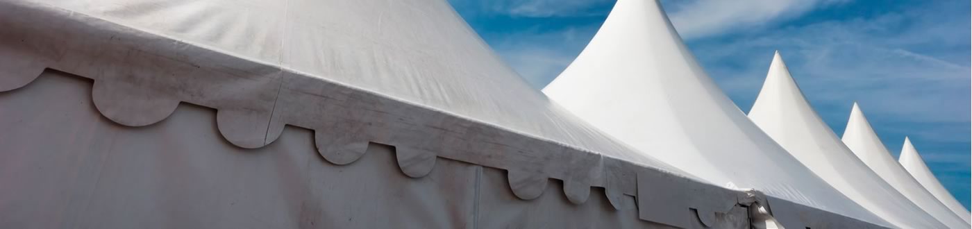 Tot Solutions - Carpes